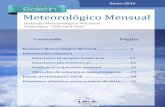 Boletín Meteorológico Enero 2016