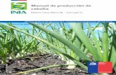 Manual de producción de cebolla - brometan.com.ar