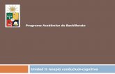 Programa Académico de Bachillerato - U-Cursos