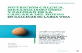 NUTRICIÓN CÁLCICA, METABOLISMO ÓSEO Y CALIDAD DE …
