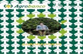 AGROREPORTE AGOSTO 2021 - agrobanco.com.pe