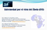Enfermedad por el virus del Ébola (EVE)