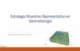 Estrategia Muestreo Representativo en Geometalurgia