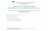 Consultor Ambiental CTCA-I-691 RELATORIO DE IMPACTO …