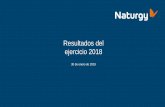 Resultados del ejercicio 2018 - Naturgy