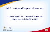 NIIF 1 – Adopción por primera vez Cómo hacer la conversión ...