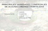 PRINCIPALES VARIEDADES COMERCIALES DE ALGUNAS …