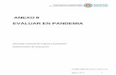 ANEXO II EVALUAR EN PANDEMIA - gba.gov.ar