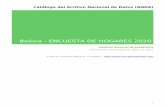 Bolivia - ENCUESTA DE HOGARES 2020