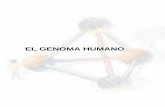 EL GENOMA HUMANO - SaberULA