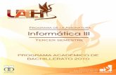 Programa de la Asignatura Informática III