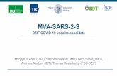 MVA-SARS-2-S - pei.de