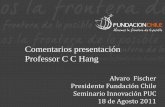 Comentarios presentación Professor C C Hang
