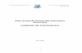 Plan Anual de Desarrollo Educativo Municipal COMUNA DE ...