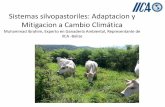 Sistemas silvopastoriles: Adaptacion y Mitigacion a Cambio ...
