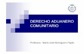 DERECHO ADUANERO COMUNITARIO