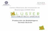Centro Mexicano de Innovación en Bioenergía (CEMIE-Bio)