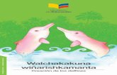 DISTRIBUCIÓN GRATUITA Walchakakuna wiñarishkamanta