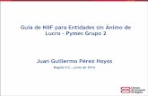Guía de NIIF para Entidades sin Ánimo de Lucro Pymes Grupo ...