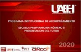 Programa Institucional de Acompañamiento Tercer semestre