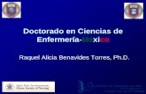 Doctorado en Ciencias de Enfermería-México
