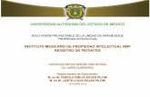 INSTITUTO MEXICANO DE LA PROPIEDAD INTELECTUAL