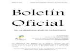 Boletin Oficial N 358.doc) - patagones.gob.ar