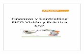 Curso Finanzas y Controlling FICO Visión y Práctica SAP