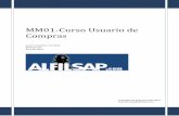 MM01-Curso Usuario de Compras - Alfilsap | Cursos SAP ...