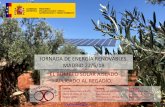 JORNADA DE ENERGÍA RENOVABLES. MADRID 22/5/18 EL …