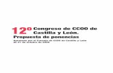 Ponencia 12º Congreso CCOO de Castilla y León.