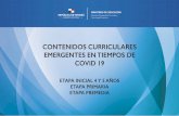 CONTENIDOS CURRICULARES EMERGENTES 2020 EN …