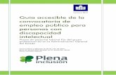 Guía accesible de la convocatoria de empleo público para ...