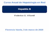 Curso Anual de Hepatología en Red Hepatitis B