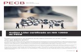 Auditor Líder certificado en ISO 13053 de PECB