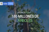 ¡QUE TU HUELLA SEA SEMBRAR! 180 MILLONES DE ÁRBOLES