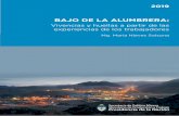 BAJO DE LA ALUMBRERA - Argentina