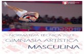 MASCULINA - federaciongimnasia.com.pe