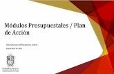 Módulos Presupuestales / Plan de Acción