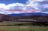 Geología de los Cuadrángulos de Cuzco y Livitaca