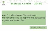 Biologia Celular – 2019/2