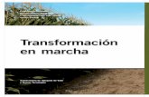 Transformación en marcha - Alimentos Argentinos
