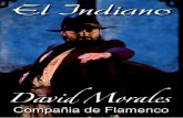 SIPNOSIS - Buenos Aires Flamenco