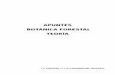 APUNTES BOTÁNICA FORESTAL TEORÍA - ITF ~ Moya