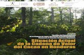 (Guatemala, El Salvador, Honduras y ... - Cadena del Cacao