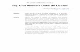 Ing. Civil Williams Uribe De La Cruz