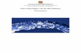 Plan Hidrológico de les Illes Balears Normativa