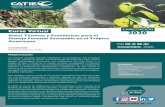 Bases Técnicas y Económicas para el Manejo Forestal ...