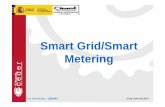 Smart Grid/Smart Metering