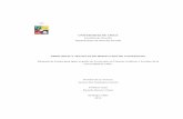 UNIVERSIDAD DE CHILE PRINCIPIOS Y TECNICAS DE REDACCION DE …